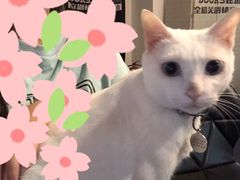 -Doors独立剧情密室(东门分店)