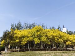 -天津意大利风情旅游区