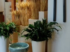 -麦子MaiMassage(打浦桥店)