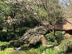-中国茶叶博物馆(双峰馆区)