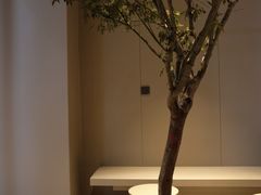 -来回·咖啡(天河南店)
