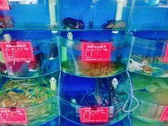 -北戴河庆山饭店·海鲜砂锅粥(北戴河黑石路店)