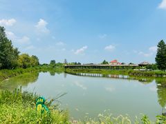 -池杉湖湿地公园