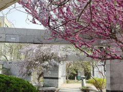 -济南国际园博园