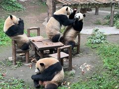 -重庆动物园·东二门售票处