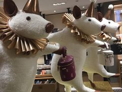 -COACH蔻驰(德基广场店)