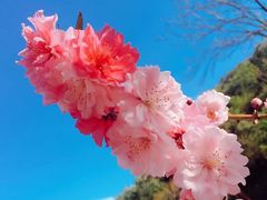 -蓟县鼓楼