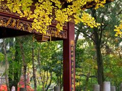 -汇龙潭
