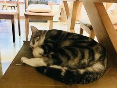 -咖法森林·咖啡  酒吧(天河店)