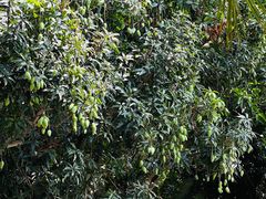 -三亚蜈支洲岛旅游区