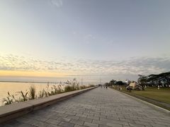 -芒洲湿地公园
