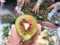 -双龙商场(环城南路店)