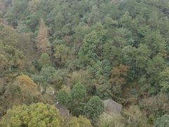 -六和塔文化公园