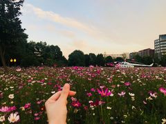 -南京航空航天大学(将军路校区)