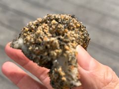 -叶氏麻糍(鼓浪屿店)