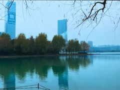 -天鹅湖体育公园