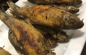 Oil Fish