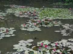 -野象谷景区