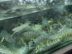 -班赞海鲜市场