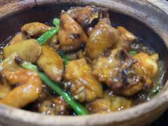 啫啫鸡煲-熠盛粤味·顺德桑拿鸡(永康路店)