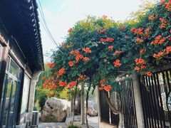 -百花洲