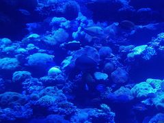 -太平洋海底世界