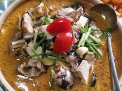 -谭家菜农夫山庄