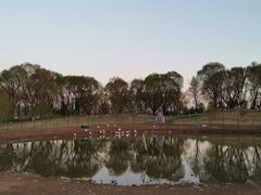 -潇河湿地公园