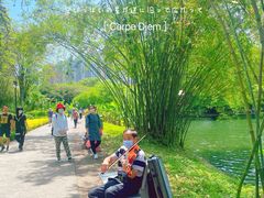 -晓港公园