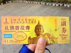 门票-西双版纳勐泐文化旅游区