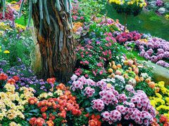 -共青国家森林公园-售票处