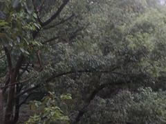-浙江大学(玉泉校区)