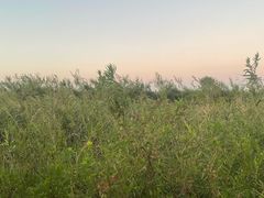 -春花秋色城市公园