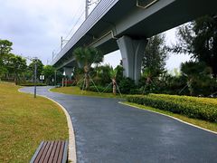 -宝安西湾红树林湿地公园