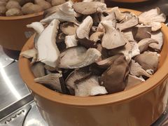 -龍歌自助小火锅(芝罘万达店)