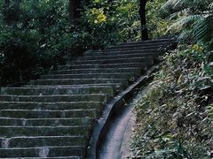 -火炉山森林公园