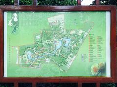 -金花茶公园