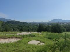 -白水寺森林公园