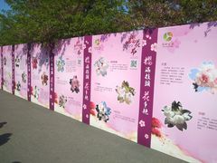 -自然谷恐龙园