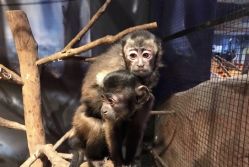 -酷嗒动物文化乐园(cutezoo西溪乐天城店)