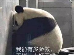 -国际青年会议酒店-苏莱斯餐厅