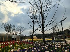-苏州上方山国家森林公园