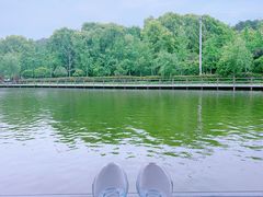 -黄陂区野村谷景区