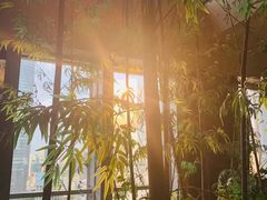 -广州富力君悦大酒店空中花园
