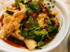 化骨绵掌-付掌柜在成都·热炒砂锅集(金禾店)