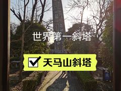 -上海佘山国家森林公园天马山园