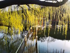 -北岭山森林公园