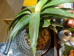 菠萝澤豚六两-极焰·烧肉刺身放题(天河领展广场店)