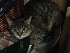 iphone_upload_pic-A+摄影