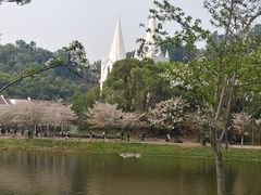 -团城山公园